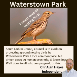 South Dublin County Council is to work on protecting ground nesting birds in Waterstown Park. Once commonplace, but driven away by human proximity & loose dogs